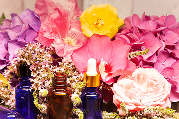 Image showing flowers and bottles of essential oils for aromatherapy