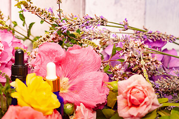 Image showing flowers and bottles of essential oils for aromatherapy