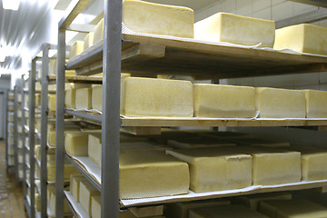 Image showing cheese storage in dairy