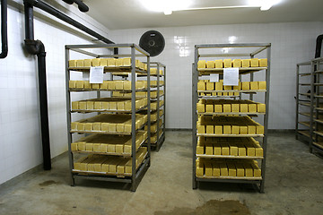 Image showing cheese storage in dairy