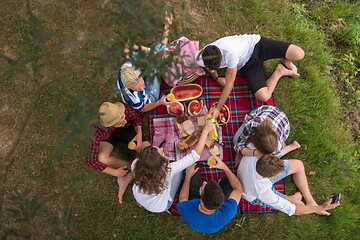 Image showing top view of group friends enjoying picnic time