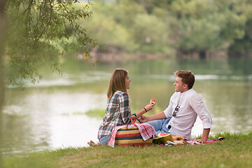 Image showing Couple in love enjoying picnic time