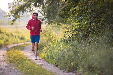 Image showing man jogging along a country road