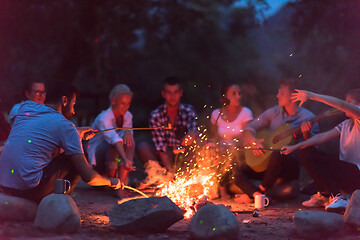 Image showing young friends relaxing around campfire