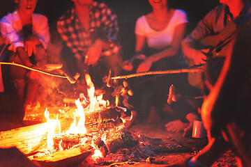 Image showing young friends relaxing around campfire