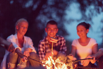 Image showing young friends relaxing around campfire