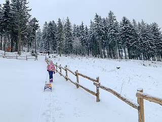 Image showing Girl with sled in winter forest