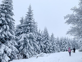 Image showing Family in winter forest