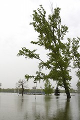 Image showing River Danube flood