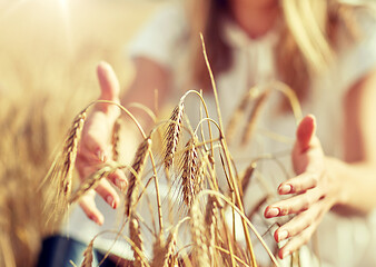 Image showing close up of woman hands in cereal field