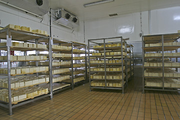 Image showing cheese storage in dairy