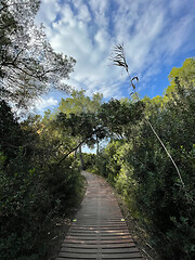 Image showing A path to enjoy solitude and silence