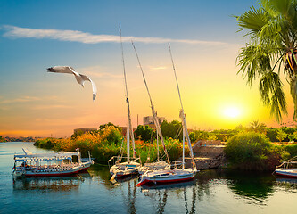 Image showing Boats on the Nile River