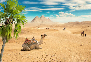 Image showing Sandy desert in Egypt