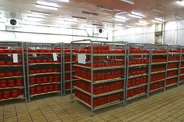 Image showing cheese storage in dairy