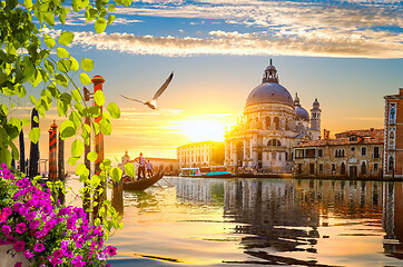 Image showing Grand canal and flowers