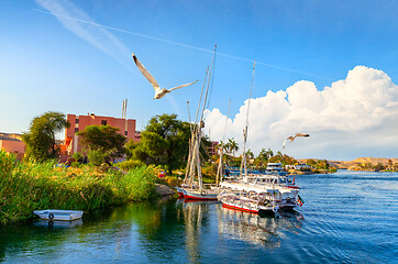 Image showing Felucca on Nile River