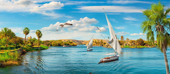 Image showing The Nile in Aswan