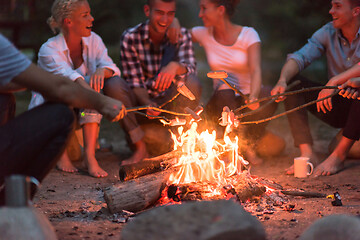 Image showing young friends relaxing around campfire