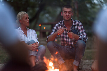 Image showing young friends relaxing around campfire