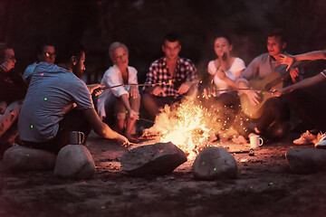 Image showing young friends relaxing around campfire