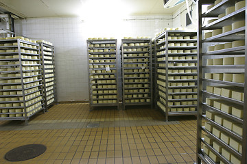 Image showing cheese storage in dairy
