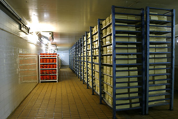 Image showing cheese storage in dairy