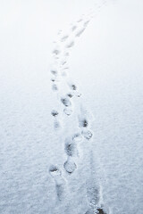 Image showing Footprints on Thin Snow-Covered Ice