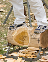 Image showing Wood Chopping