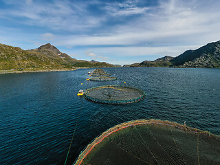 Image showing Farm salmon fishing in Norway