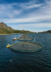 Image showing Farm salmon fishing in Norway