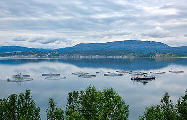 Image showing Farm salmon fishing in Norway