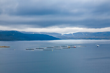 Image showing Farm salmon fishing in Norway