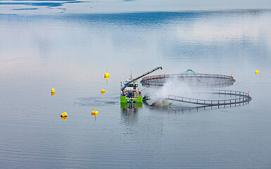 Image showing Farm salmon fishing in Norway