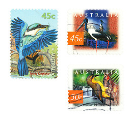 Image showing Birds stamps