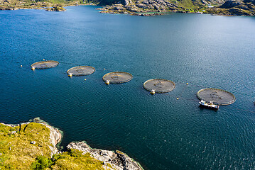 Image showing Farm salmon fishing in Norway