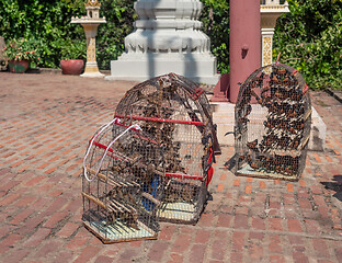 Image showing Wat in cages ate Wat Phnom, Phnom Penh