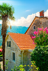 Image showing Red roofs in Kotor