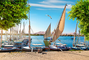 Image showing The sailboats in Aswan