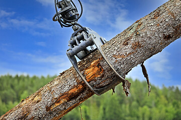 Image showing Log Loader Lifting Timber Log