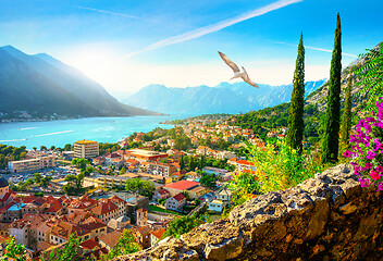 Image showing Boka Kotor bay