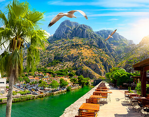 Image showing Cafe in Kotor old town