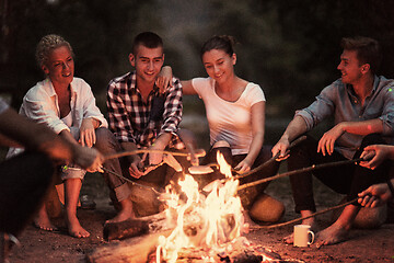 Image showing young friends relaxing around campfire