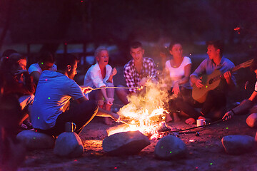 Image showing young friends relaxing around campfire