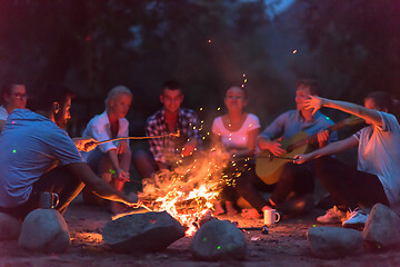 Image showing young friends relaxing around campfire