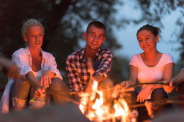 Image showing young friends relaxing around campfire