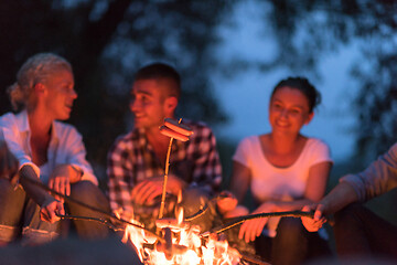 Image showing young friends relaxing around campfire