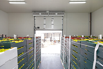 Image showing Produce Storage Door