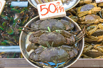 Image showing Live Crabs Tray