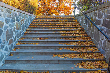 Image showing Autumn Stairs